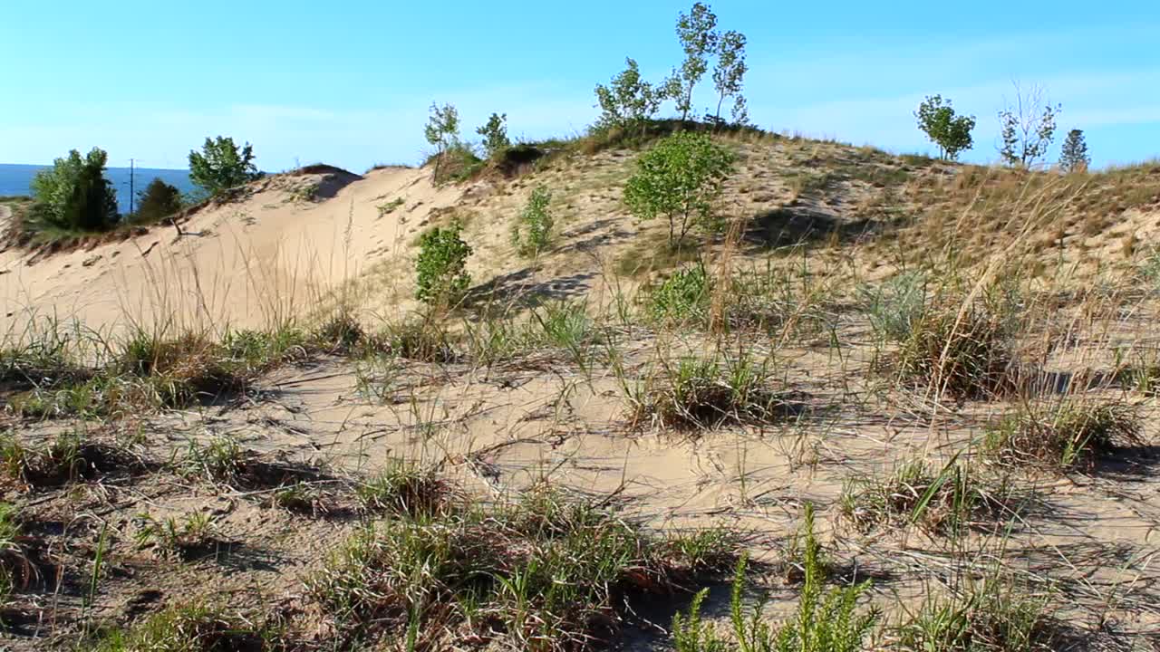 A tranquil scene of sandy dunes and sparse greenery under a vibrant blue sky at Indiana Dunes National Park. Natural light highlights the undulating textures of the landscape