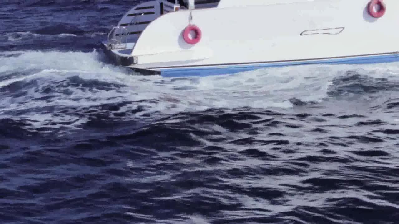 홍해 여행 이집트의 레저