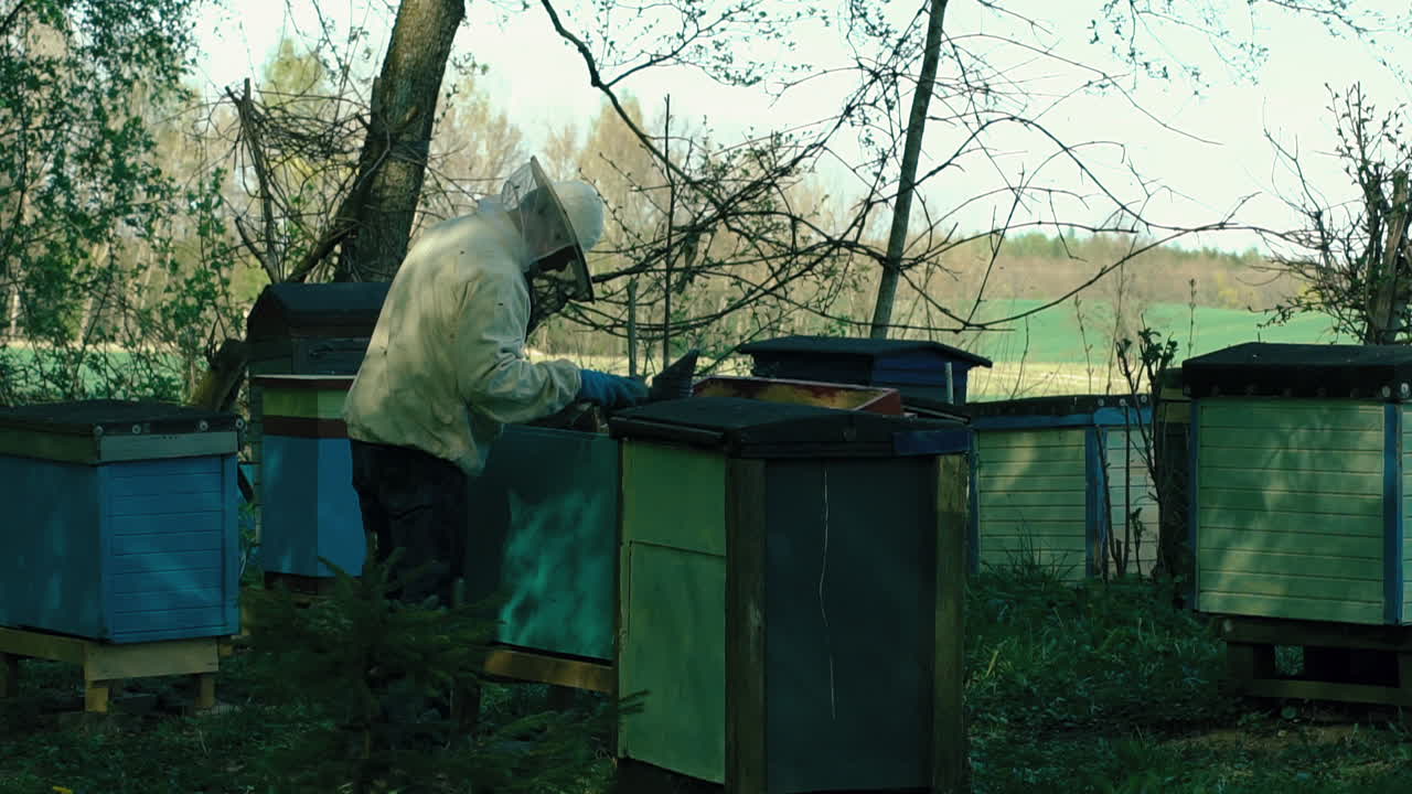 Beekeeper Checking On His Apiary. Locked Off, Slow Motion