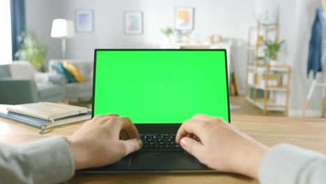 el hombre usa una computadora portátil con pantalla de maqueta verde mientras está sentado en el escritorio en su acogedora sala de estar.