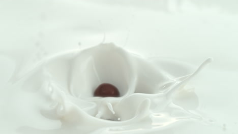 chocolate balls falling into creamy milk making splashes in macro and slow motion