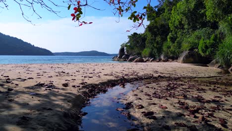 Tropisches-Paradies-Abgeschieden-Ruhig,-Sandstrand-Neben-üppigen-Wald-Klares-Blaues-Wasser