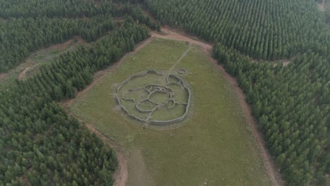 aerial view of ancient stone ruins in a forest clearing