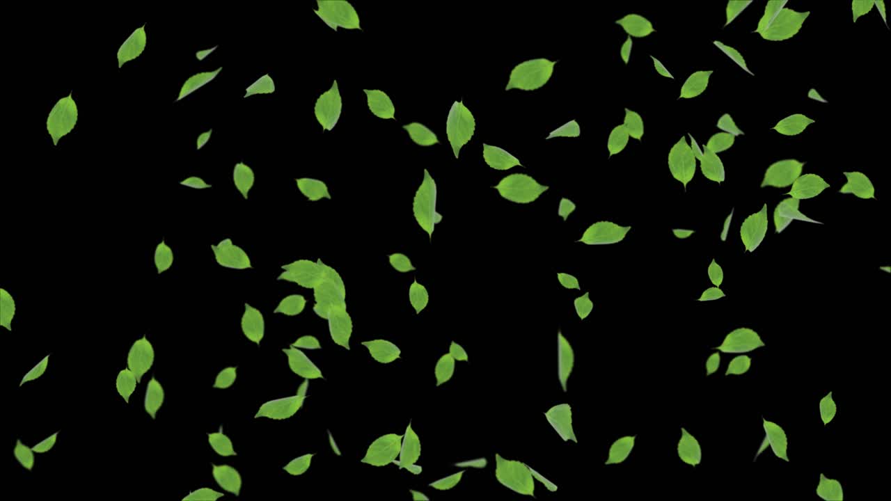 Green leaves randomly moving falling realistic 3d loop animation weather wedding winter presentation