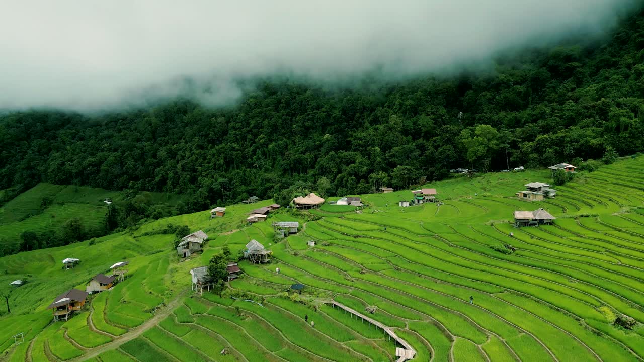 4K Cinematic nature aerial drone footage of the beautiful mountains and rice terraces of Ban Pa Pong Piang at Doi Ithanon next to Chiang Mai, Thailand on a cloudy sunny day