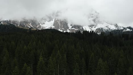 drone shot of the forests surrounding dolomites in italy