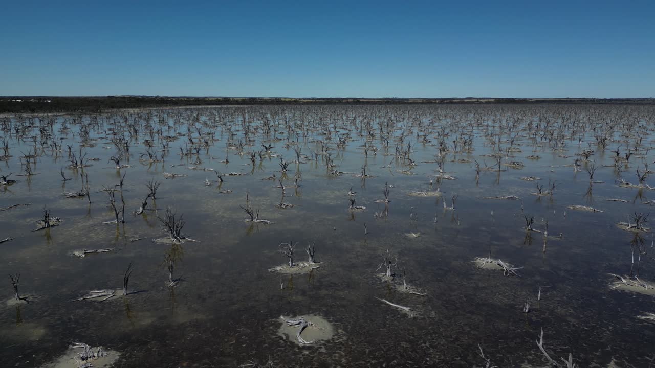 공중에서 죽은 나무와 관목과 함께 타르빈 호수의 황폐한 풍경