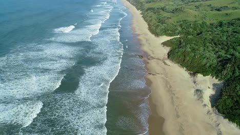 aerial view of a pristine scenic sandy beach with coastal forest, south africa