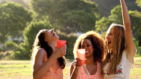 mujeres hipster brindando