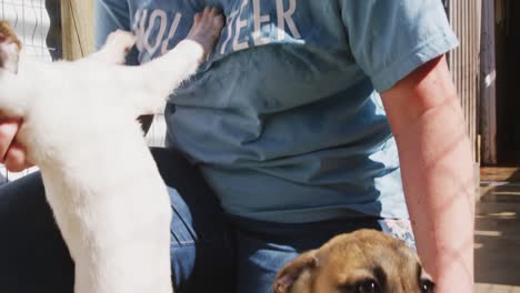 caucasian volunteer woman in a dog shelter