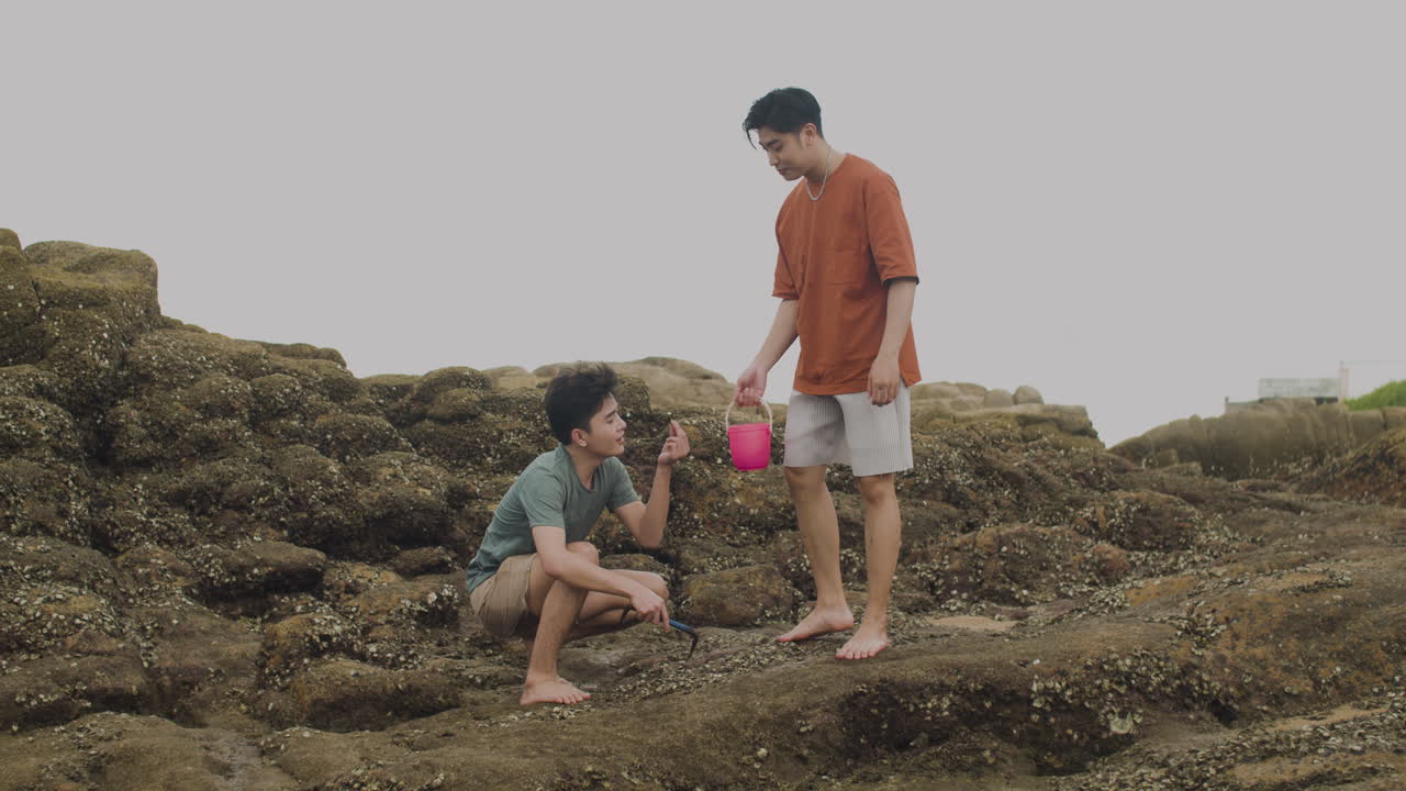 커플 수확 조개