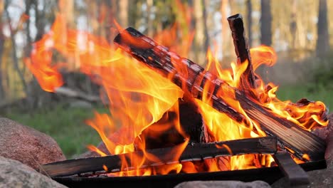 Brennendes-Lagerfeuer-Im-Wald