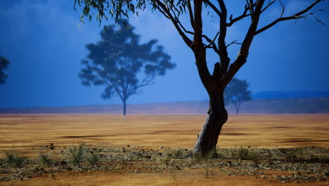 a vast arid landscape stretches into the horizon with a rich golden earth