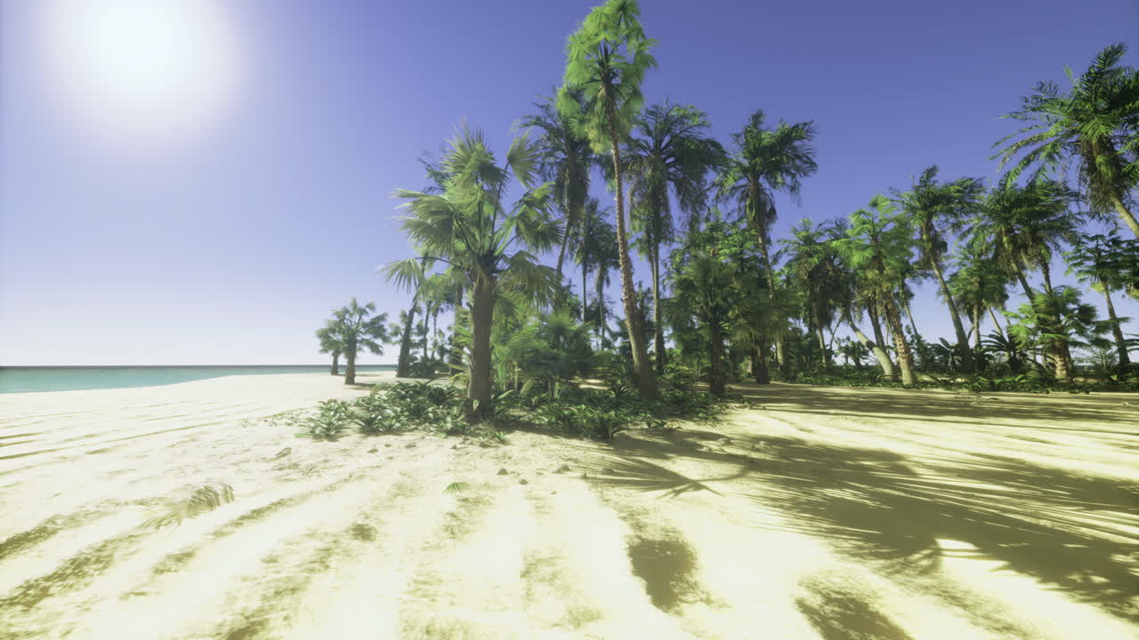 Beautiful tropical beach with palm trees and clear blue skies during daytime