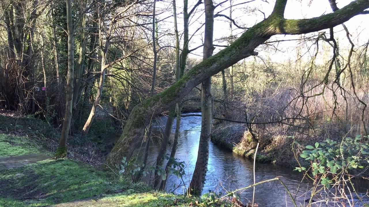 Blick auf den Fluss Bollin vom Kirchhof der St. Bartholomäus-Kirche in Wilmslow, Cheshire, England, an einem sonnigen Wintertag