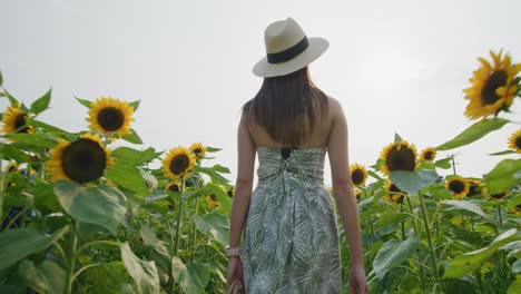 Vista-Trasera-De-Una-Mujer-Con-Sombrero