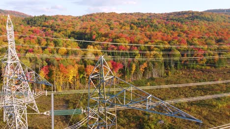 transmission towers with autumn forest in montreal, quebec, canada