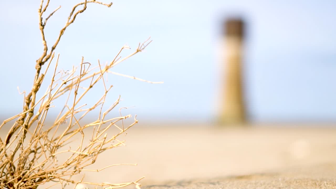 두 번째 계획의 모래와 탑에 갇힌 가지