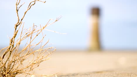 branch stuck in the sand and a tower in the second plan