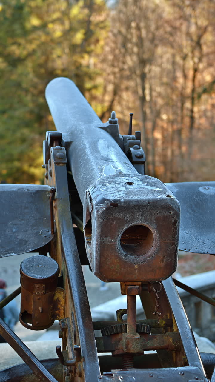 Cannon located near Peles castle in Sinaia, in Romania. Vertical
