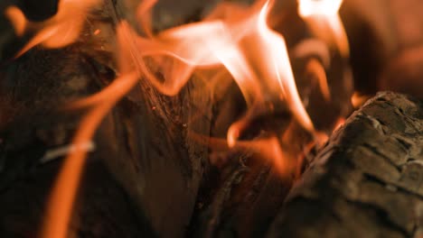 close up of burning wood fire