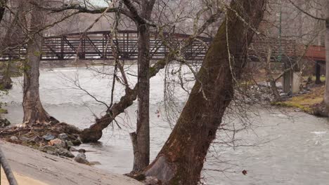 distant shot of a river flowing under a bridge