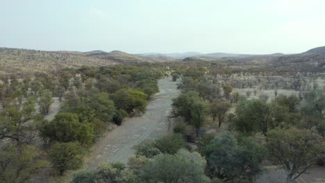 Verlassene-Straße-Im-Etosha-Nationalpark,-Namibia