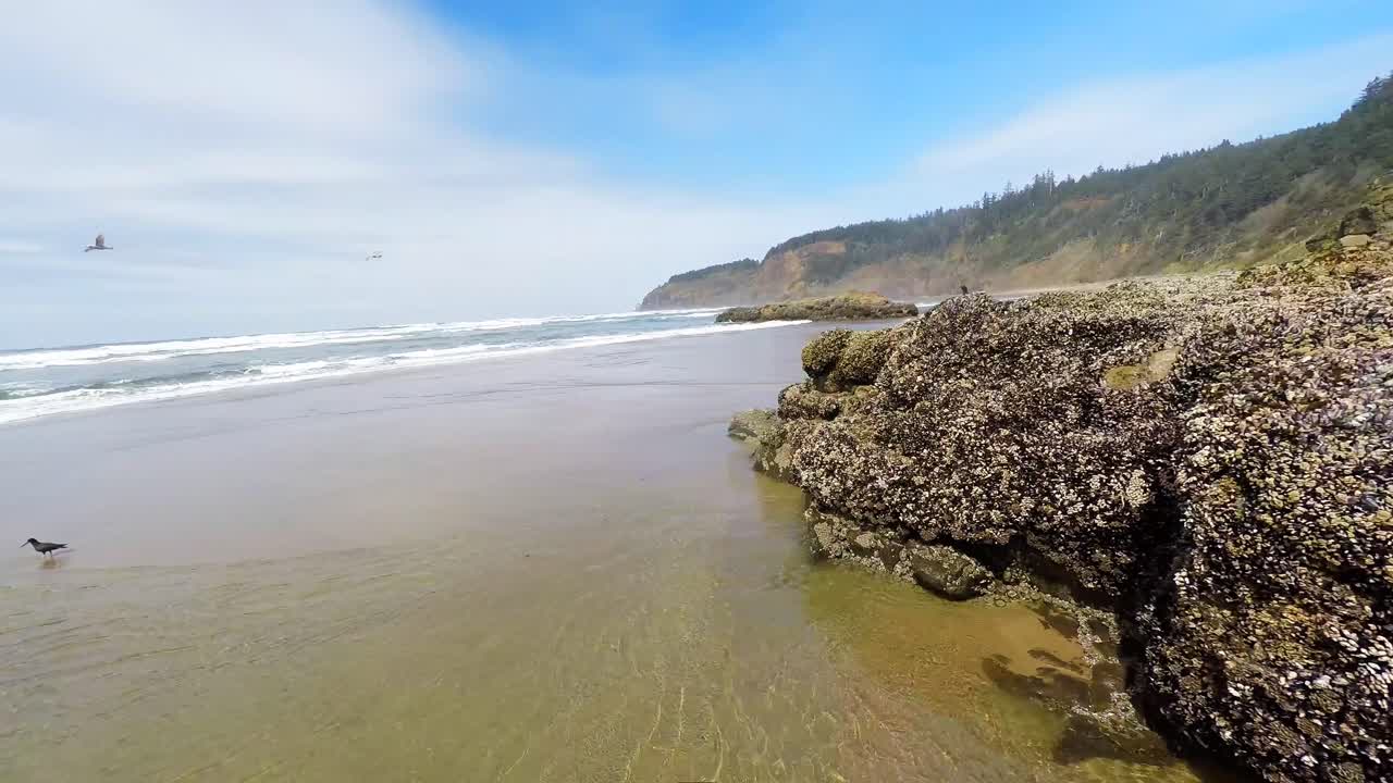 Uma imagem aérea de uma bela praia com ondas quebrando.