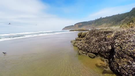 an aerial image of a beautiful beach with waves crashing