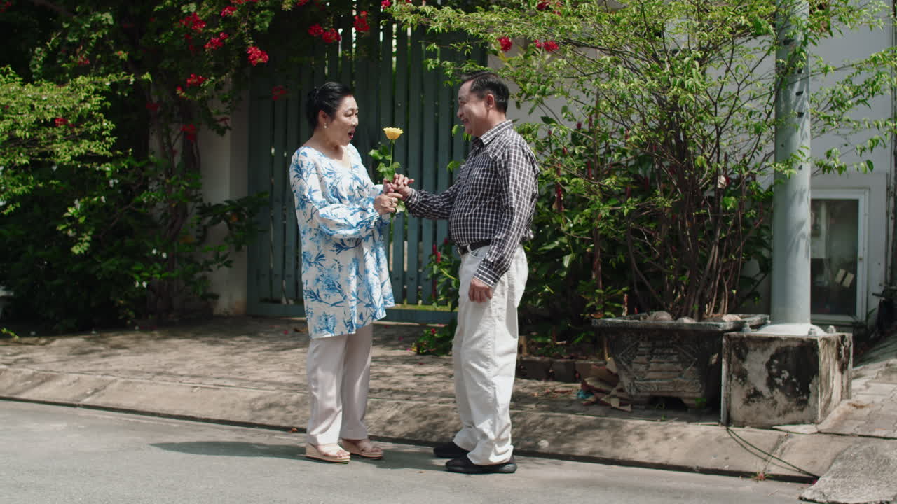 Mature Giving Yellow Rose to Loving Wife as Present on Street