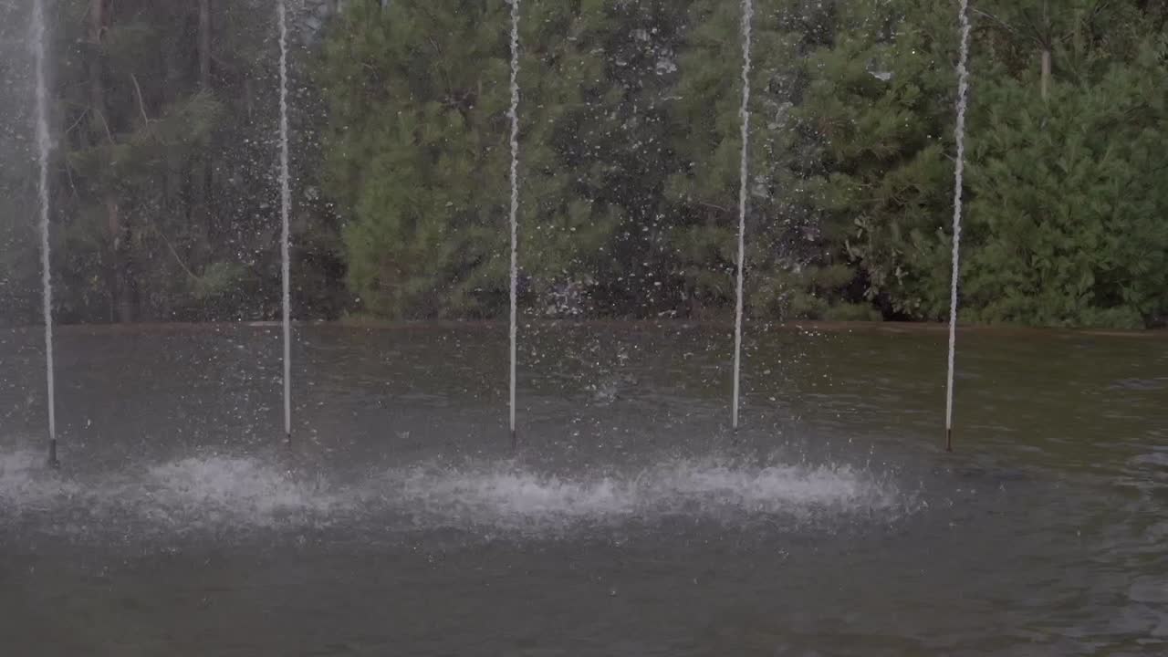 Spraying jets of water in a tranquil fountain surrounded by lush greenery