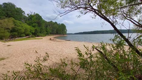 deserted beachfront at the at ebenezer church day-use area of jordan lake state recreation area