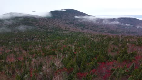 trees change color through autumn season over mount washington in new hampshire, united states