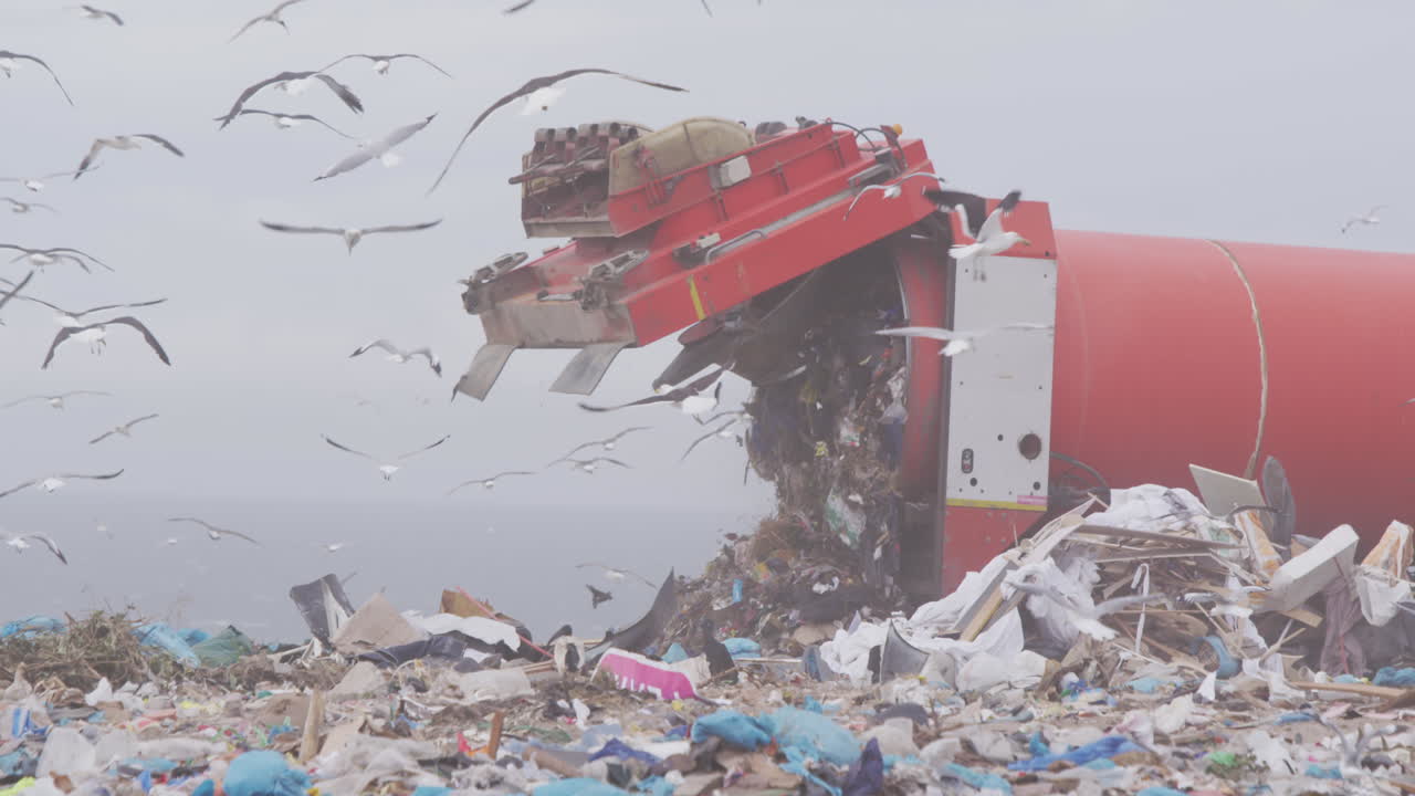 쓰레기로 가득 찬 쓰레기 매립지에 쓰레기를 쌓는 차량