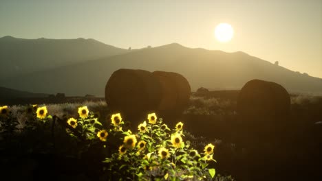 hay-bales-in-the-sunset