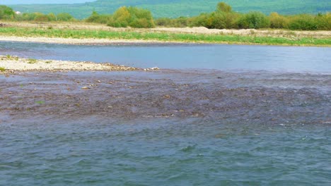 beautiful river flow with small rifts shores with green grass