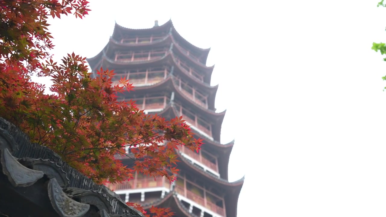 Historisk træpagode i Suzhou, Kina, indrammet af røde ahornblade mod en tåget himmel