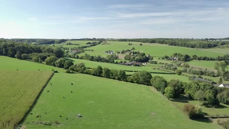 vista aérea de drones de las tierras de cultivo rurales en limburgo, países bajos-europa