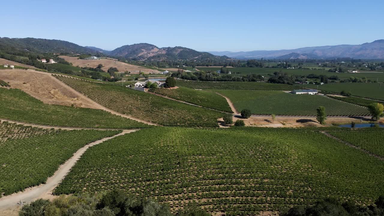 Filmato aereo 4K con drone su una cantina vinicola nella Napa Valley, California.