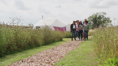 grupo de amigos maduros caminando por el camino a través del campamento de yurt