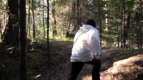 person hiking through forest