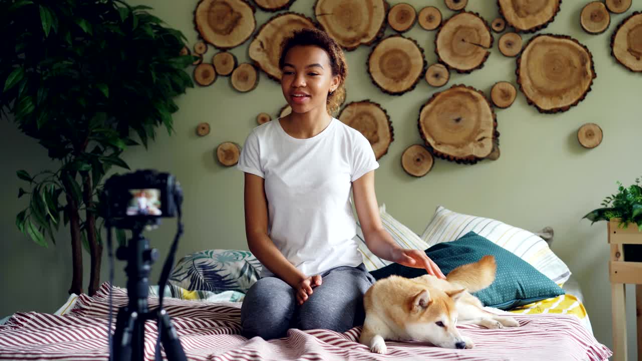 el lindo blogger adolescente afroamericano está grabando un videoblog sentado en la cama, acariciando a un adorable perro mascota y hablando con los suscriptores.