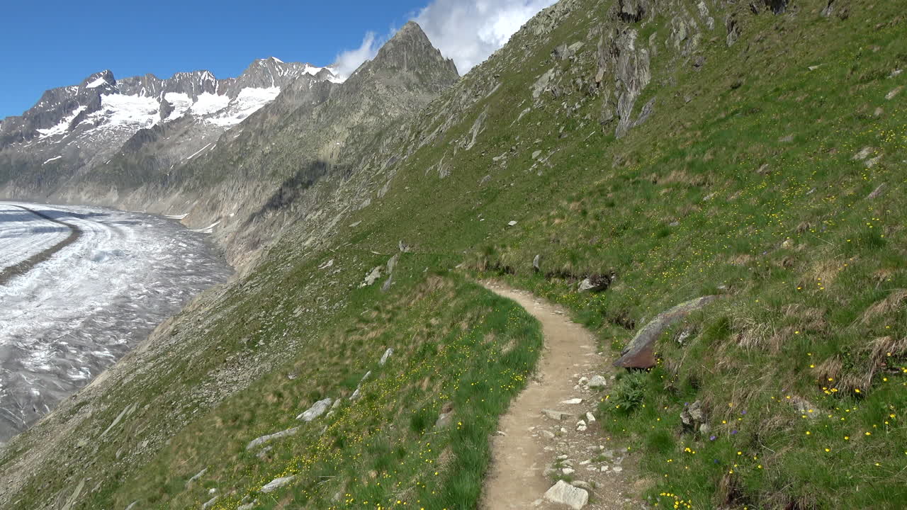 Scenic hiking path along a steep alpine slope overlooking the Aletsch Glacier and snowcapped peaks in the Bernese Alps, Valais, Switzerland on a clear day