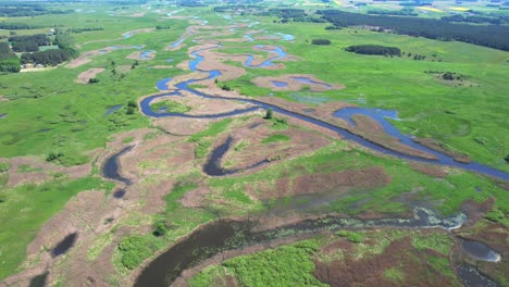 the winding, wild biebrza river in spring, aerial view