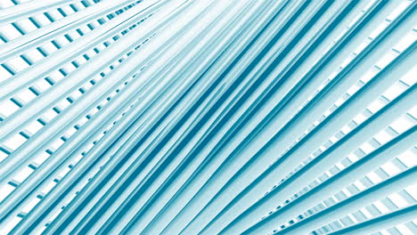 abstract teal lines background