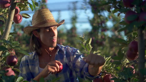 man harvesting and enjoying fresh apples in an orchard