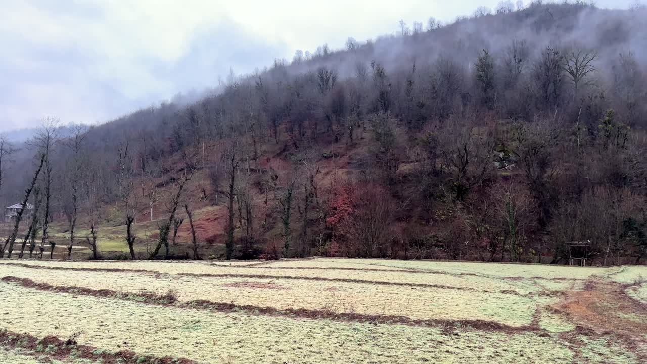 나무 덤불에 있는 오래된 숲 안개 구름의 넓은 전망 언덕 논 논 테라스 농장 땅에 있는 단풍 마른 가지 산 기후 음식 자연 풍경이란 마잔다란 풀 초목
