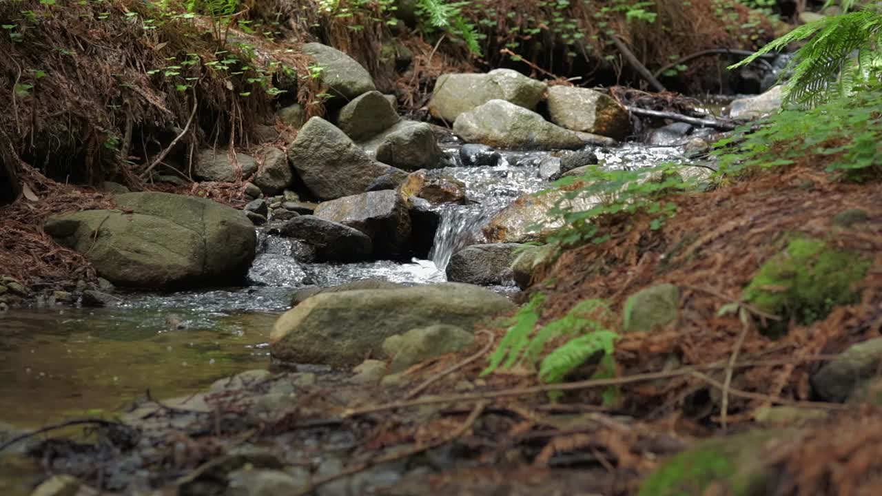 Air terjun kecil di atas bebatuan di hutan redwood Big Sur