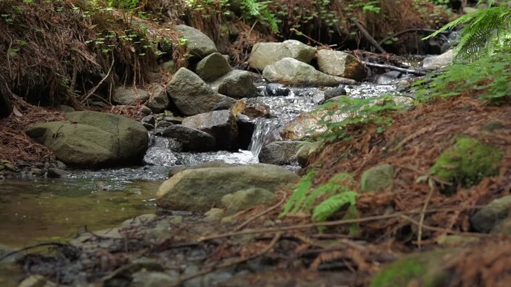 Mini waterfall over stones in Big Sur redwoods