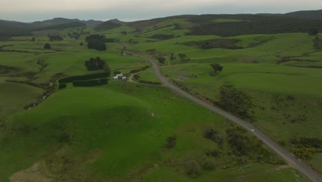 cattle farm land with grassy hills on cloudy day in new zealand, catlins